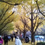 こんにちは！髪ファッション四季です！！～音羽店～