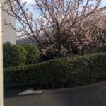 こんにちは！髪ファッション四季です！～音羽店～