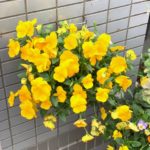 蒸れてますよ！