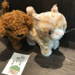 飼い主探してます.